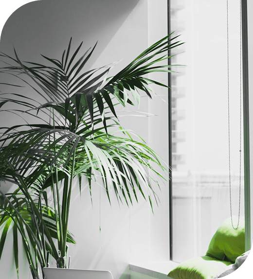 Color Theory Basics Every Designer Should Know